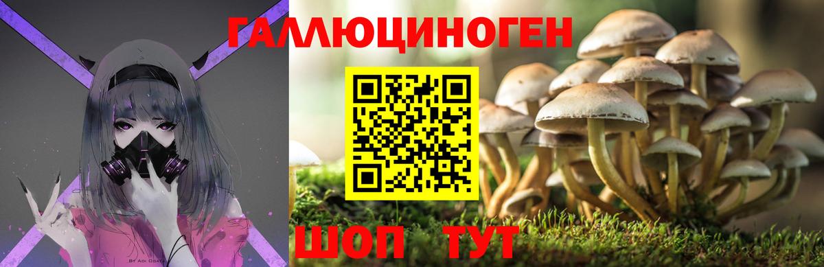 Сегежа  Галлюциногенные грибы Magic Shrooms  Галлюциногенные грибы прущие грибы  Вход с VPN 